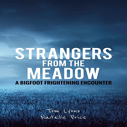 Strangers in the Meadow audio book cover